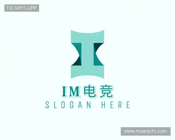 介绍IM电竞