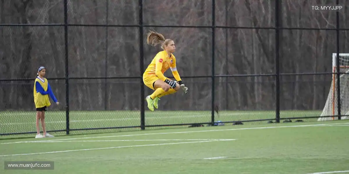 全球赛事，尽在掌握！🌍